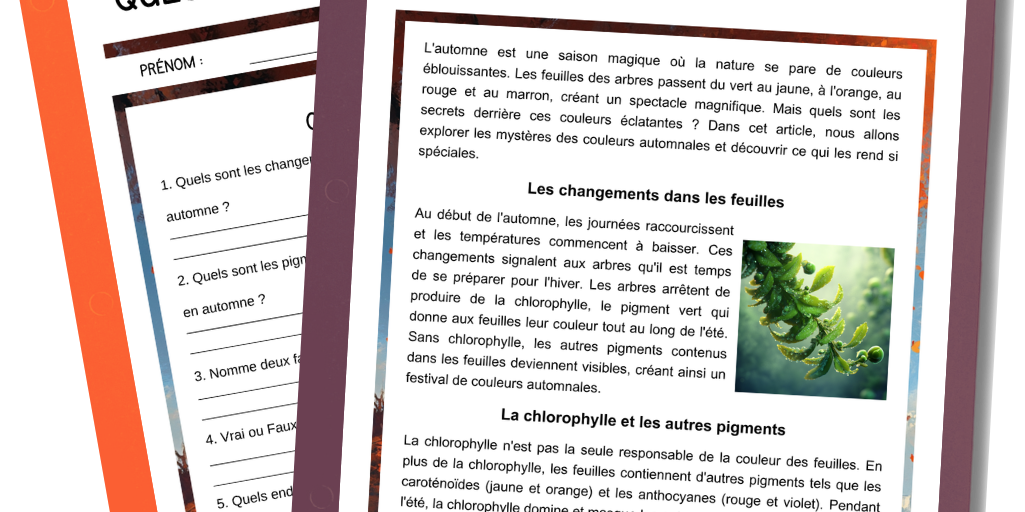 Ressources pédagogiques Automne