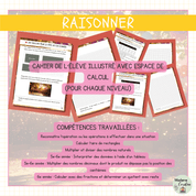 Raisonner de fin d'année primaire 
