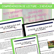 Compréhension de lecture différenciée pour la Coupe du Monde de soccer sur la popularité du soccer