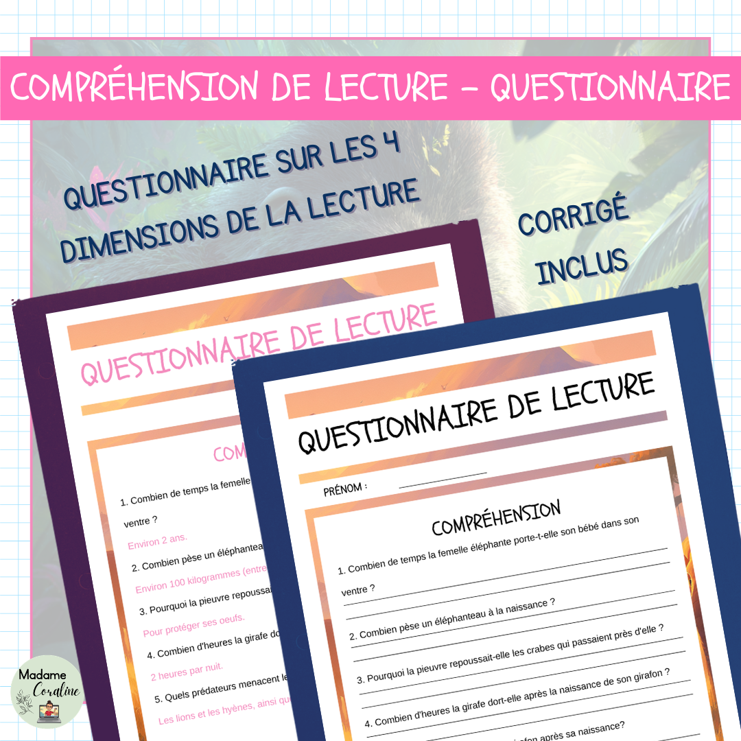 Compréhension de lecture Fête des Mères au primaire avec questionnaire
