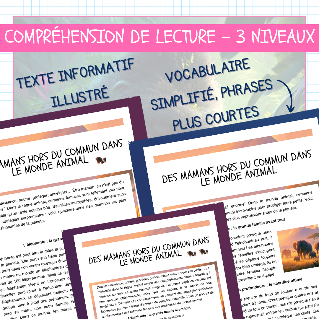 Compréhension de lecture différenciée Fête des Mères au primaire