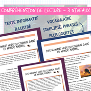 Compréhension de lecture différenciée Fête des Mères au primaire