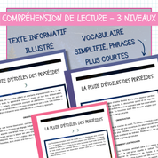 Compréhension de lecture – Les Perséides (3 niveaux) avec questionnaire