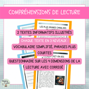 Compréhensions de lecture Poisson d'Avril avec questionnaire
