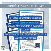 Compréhensions de lecture sur l'hiver différenciées