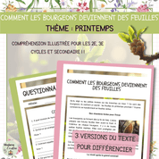 Compréhension de lecture - Printemps - Bourgeons