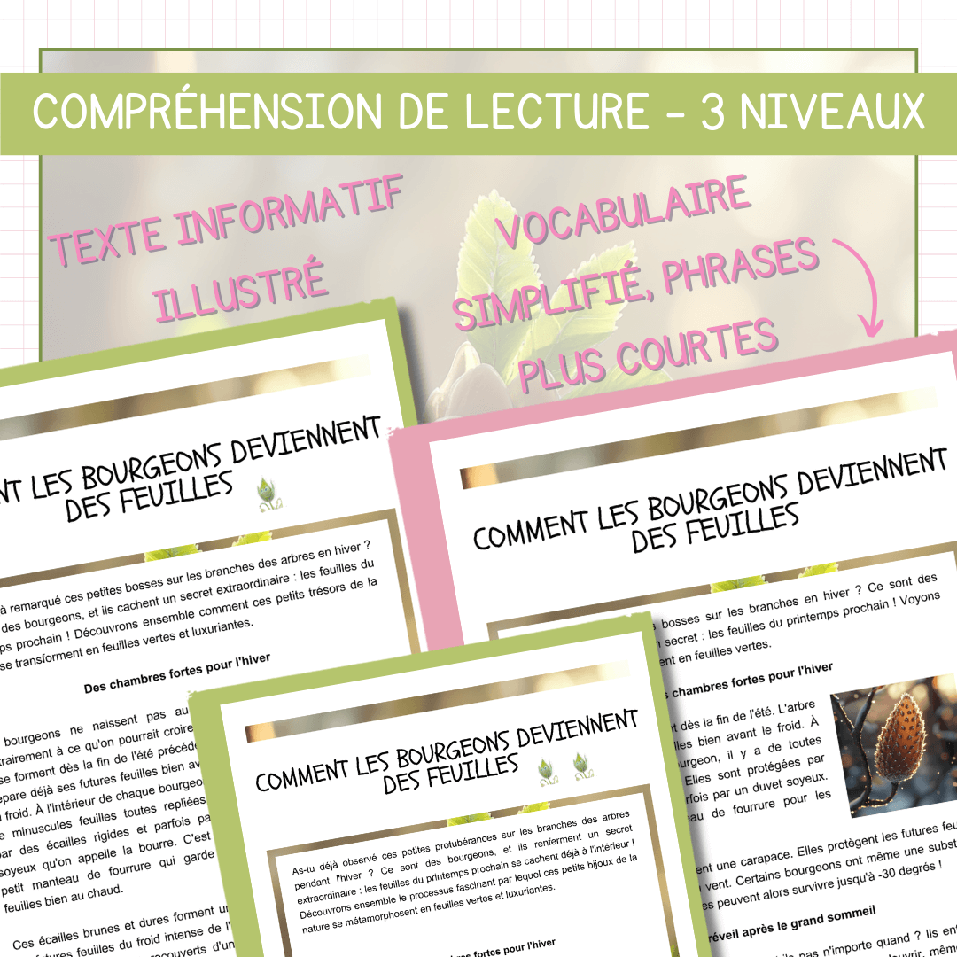 Compréhension de lecture - Printemps - Bourgeons