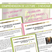 Compréhension de lecture - Printemps - Bourgeons