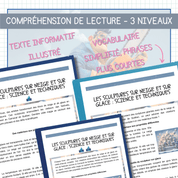 Compréhension de lecture hiver sculptures