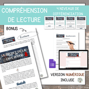 Compréhension de lecture narrative le secret de la cape rouge