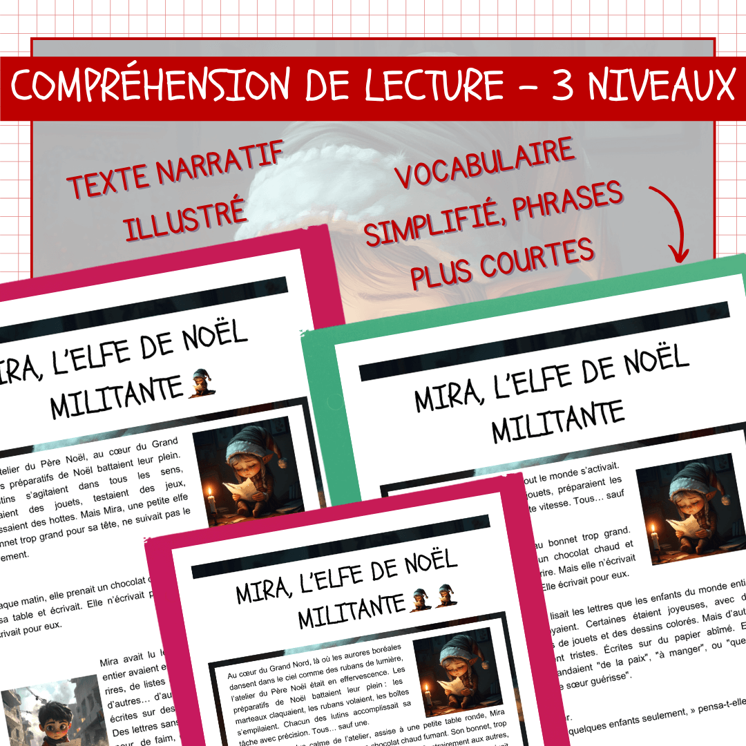 Compréhension de lecture narrative noel mira elfe