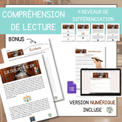 Compréhension de lecture narrative solitude de marie