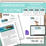 Compréhension de lecture narrative trésor des babajiens