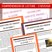 Compréhension lecture automne