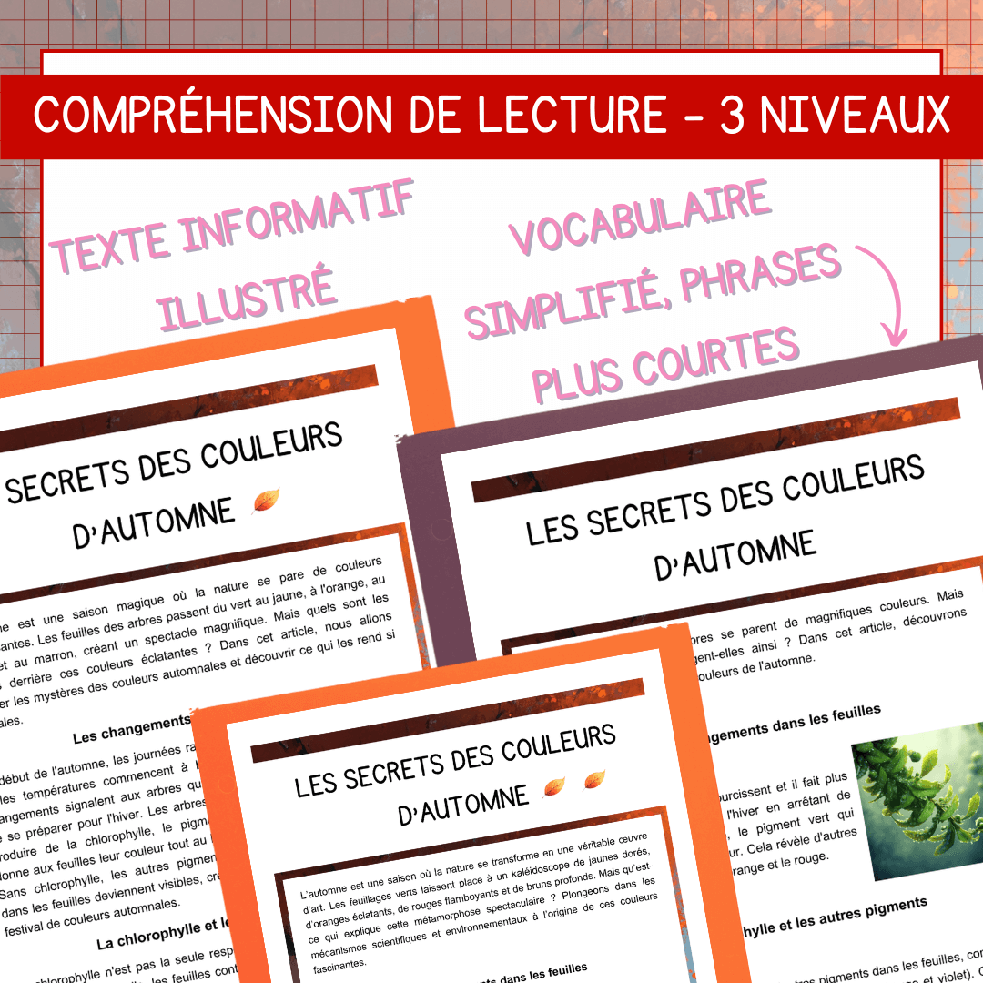 Compréhension lecture automne