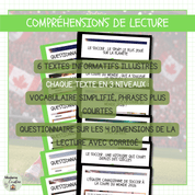 Ensemble de compréhensions de lecture différenciées sur la coupe du Monde de soccer