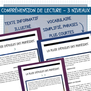 =Compréhension de lecture – Les Perséides (3 niveaux)