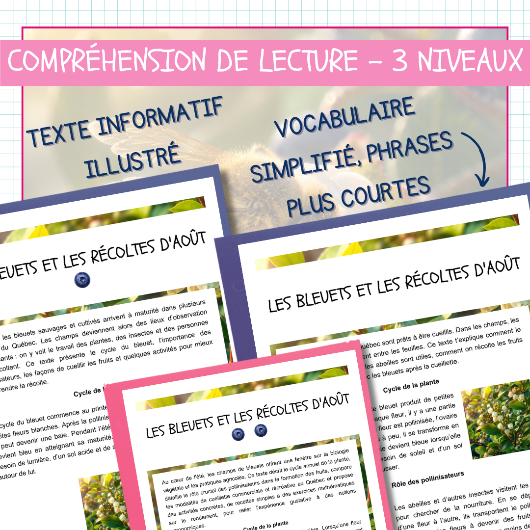 Les bleuets et les récoltes d’août – Lecture à 3 niveaux