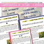 Les bleuets et les récoltes d’août – Lecture à 3 niveaux